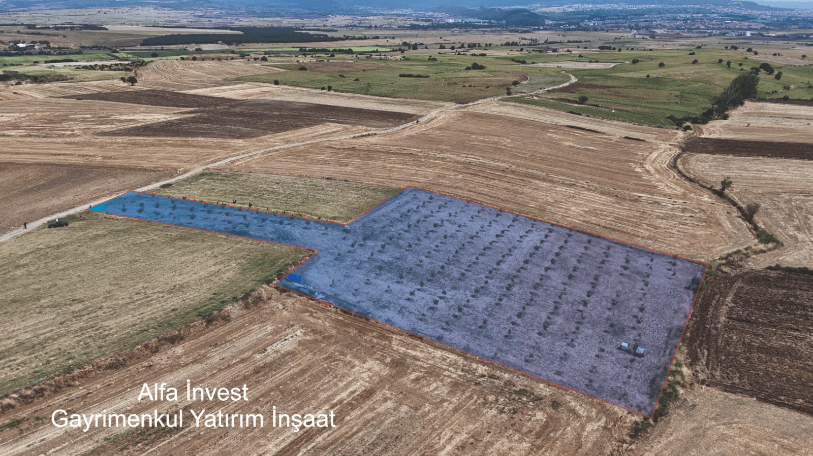 Edirne Keşan Satılık Satılık Tarla - Beğendik'te 8.850 M² Tam Donanımlı Chandler Ceviz Bahçesi